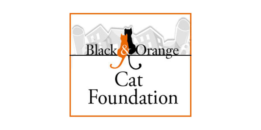 Black and Orange Cat Foundation