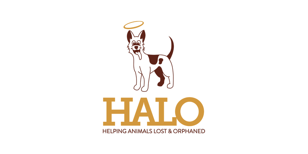 HALO - Helping Animals Lost and Orphaned