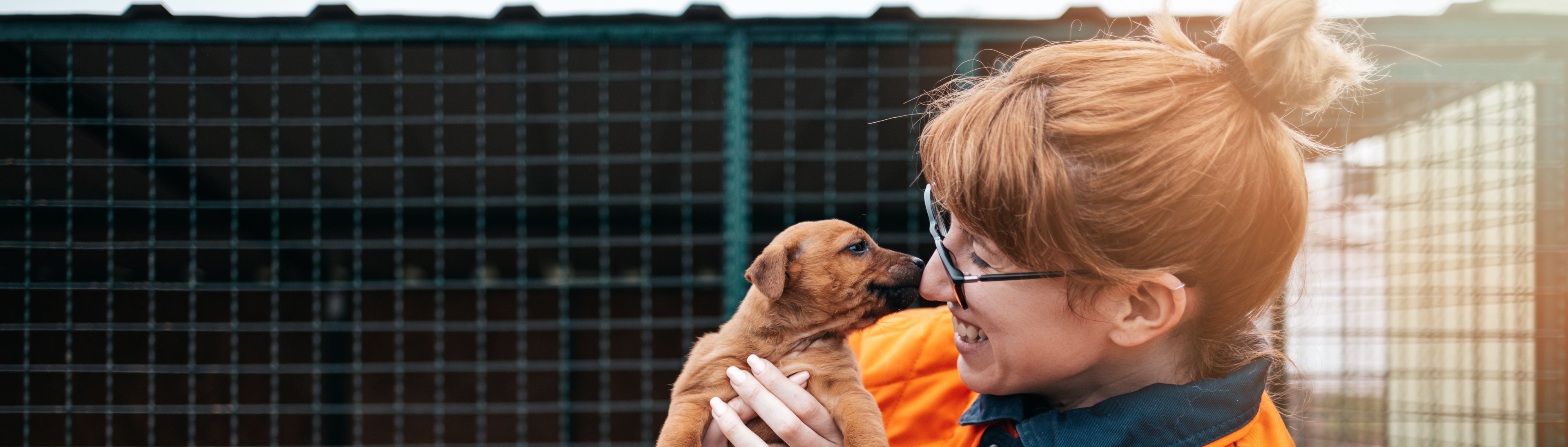 A woman with red hair holding a small brown puppy in front of a fence. Credit: mladenbalinovac